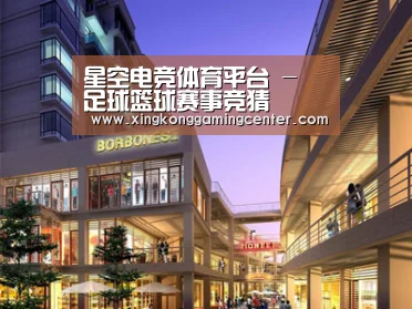 案例展示一(图1)