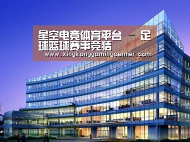 案例展示五
